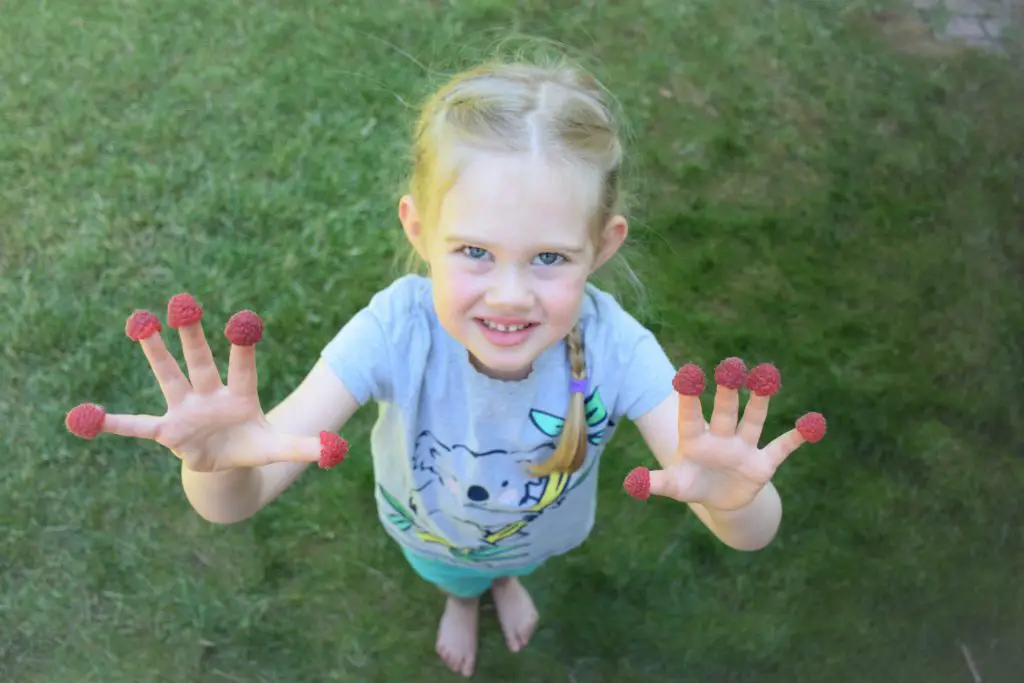 Rosie with raspberries on her fingers