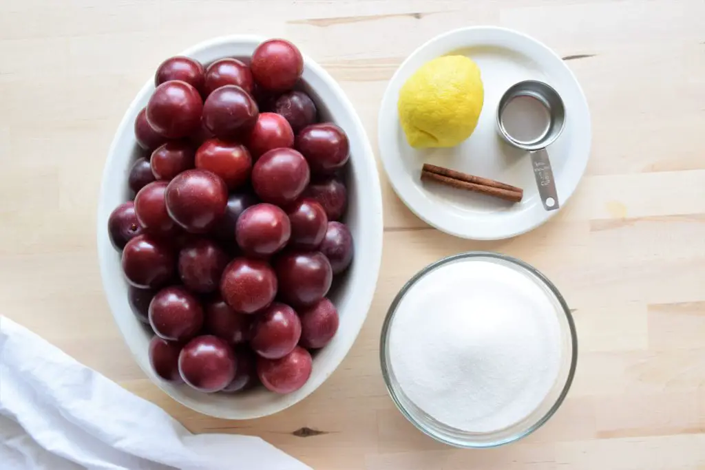 Small Batch Plum Jam