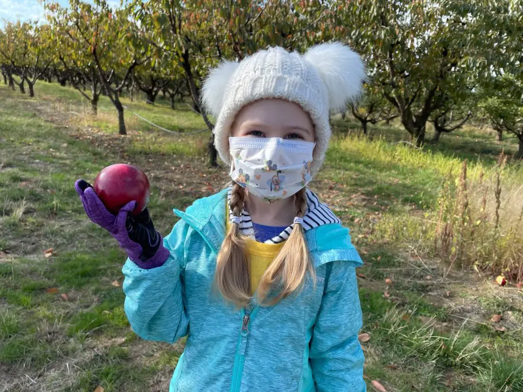 Rosie holding an apple in an orchard