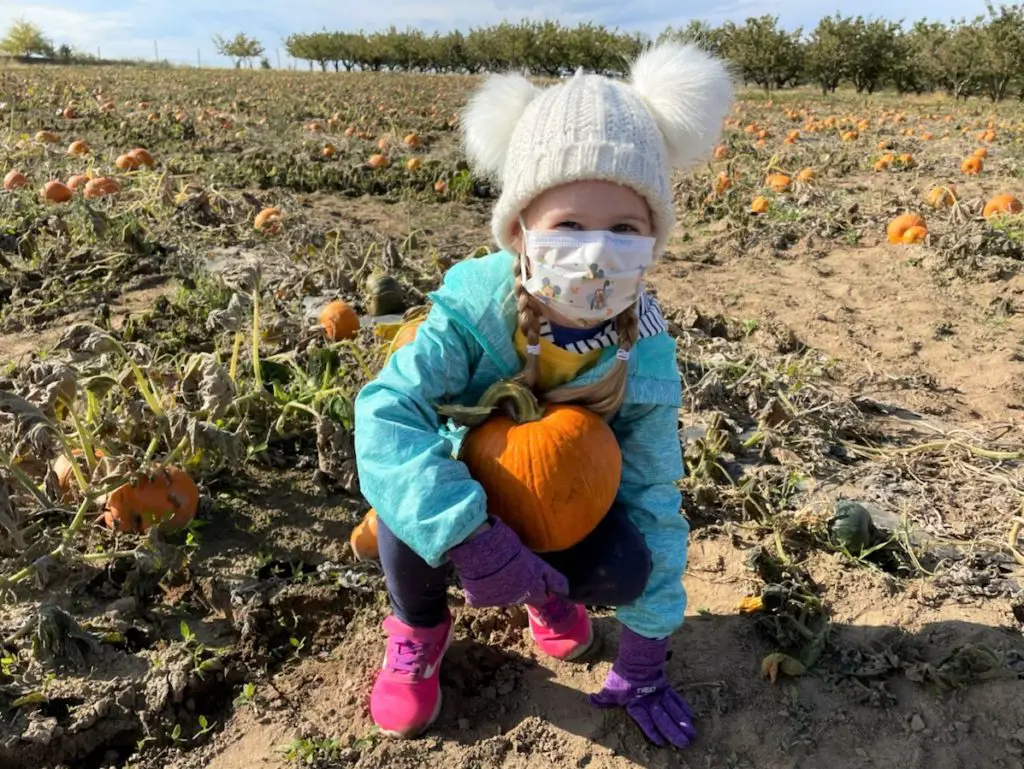 Rosie holding a pumpkin in a pumpkin patch - this bread will rise