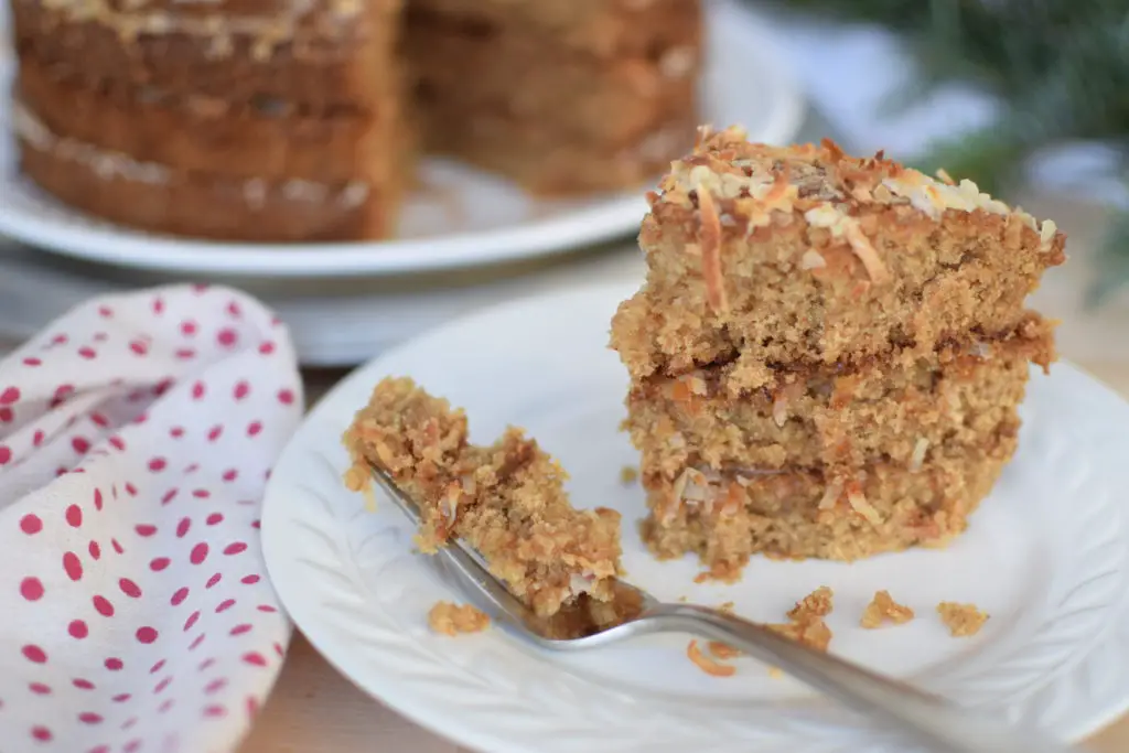 bite of oatmeal cake