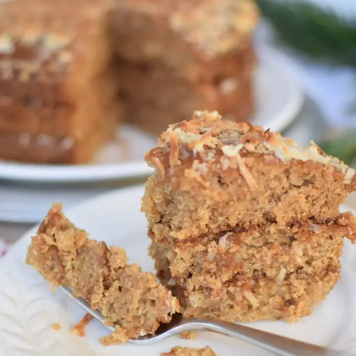 Bite out of slice of oatmeal cake