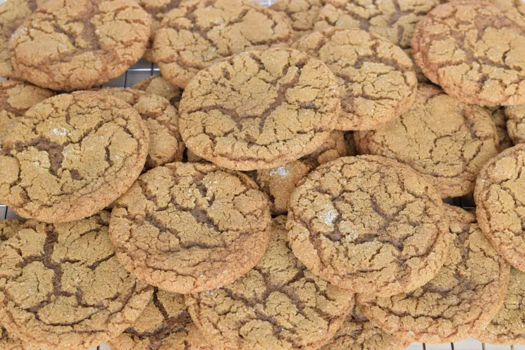 pile of gf chewy ginger molasses cookies - this bread will rise