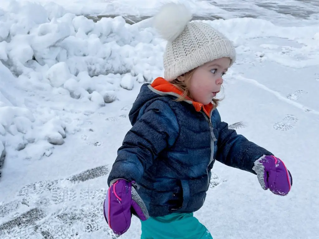 Ellie walking in the snow