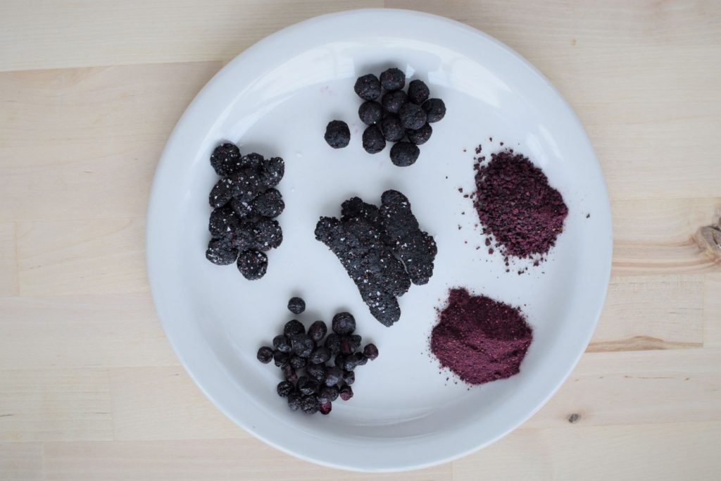 freeze dried blueberry options