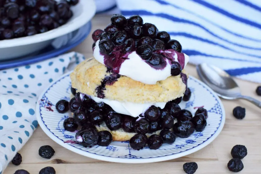 Roasted blueberry shortcake served on a plate with a bowl of roasted blueberries behind it - this bread will rise
