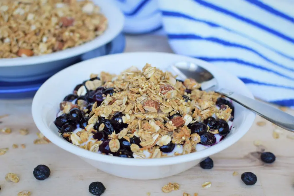 Bowl of yogurt with roasted blueberries and coconut almond granola on top - this bread will rise