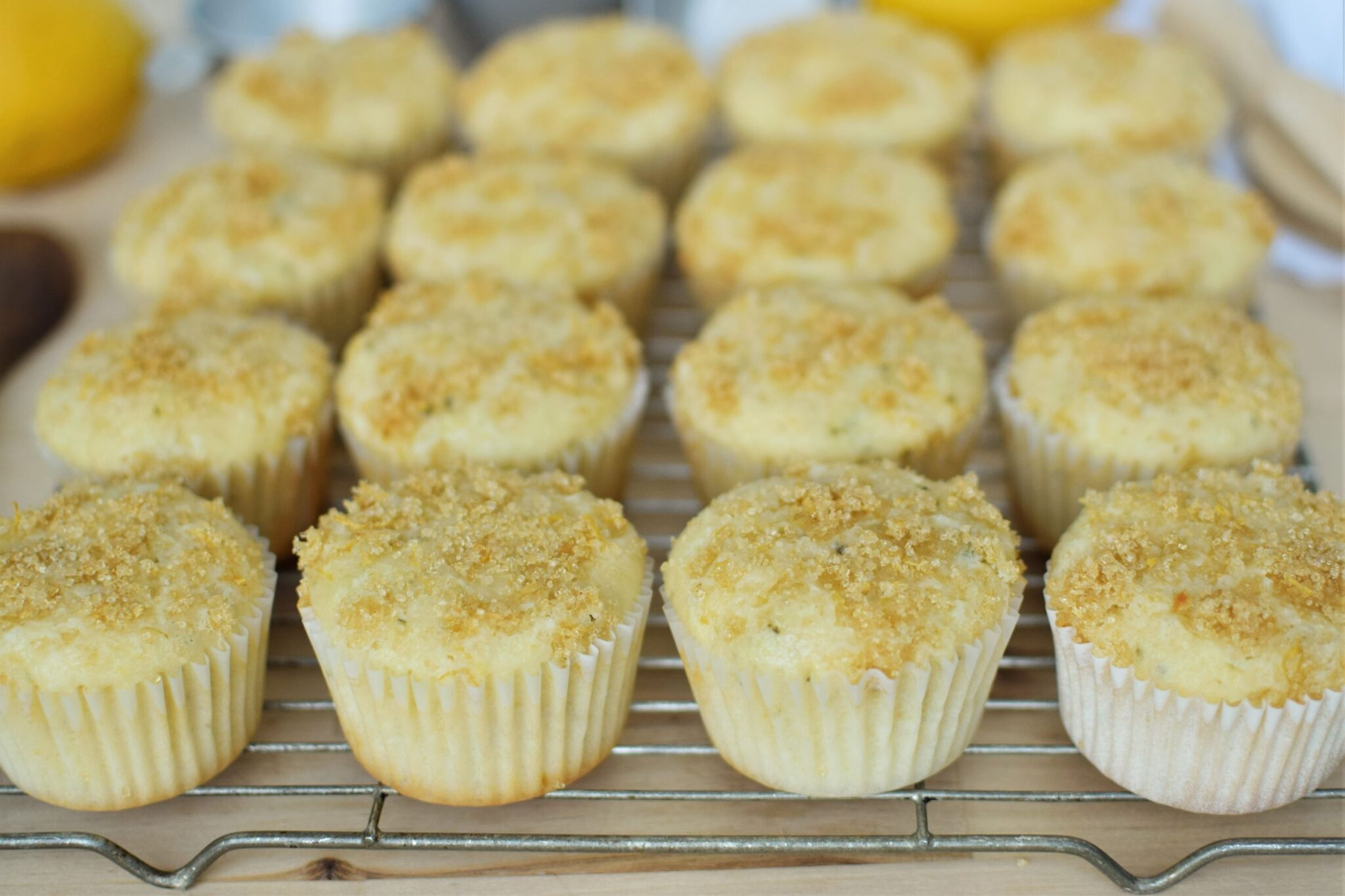 Lemon Zucchini Muffins This Bread Will Rise