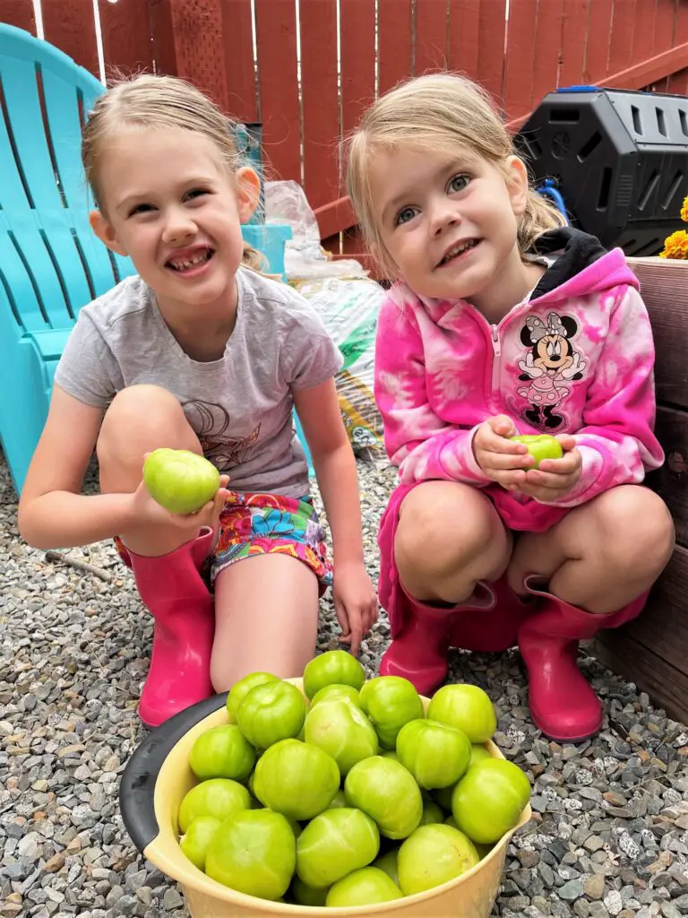 Rosie and Ellie with a huge bowl of tomatillos.