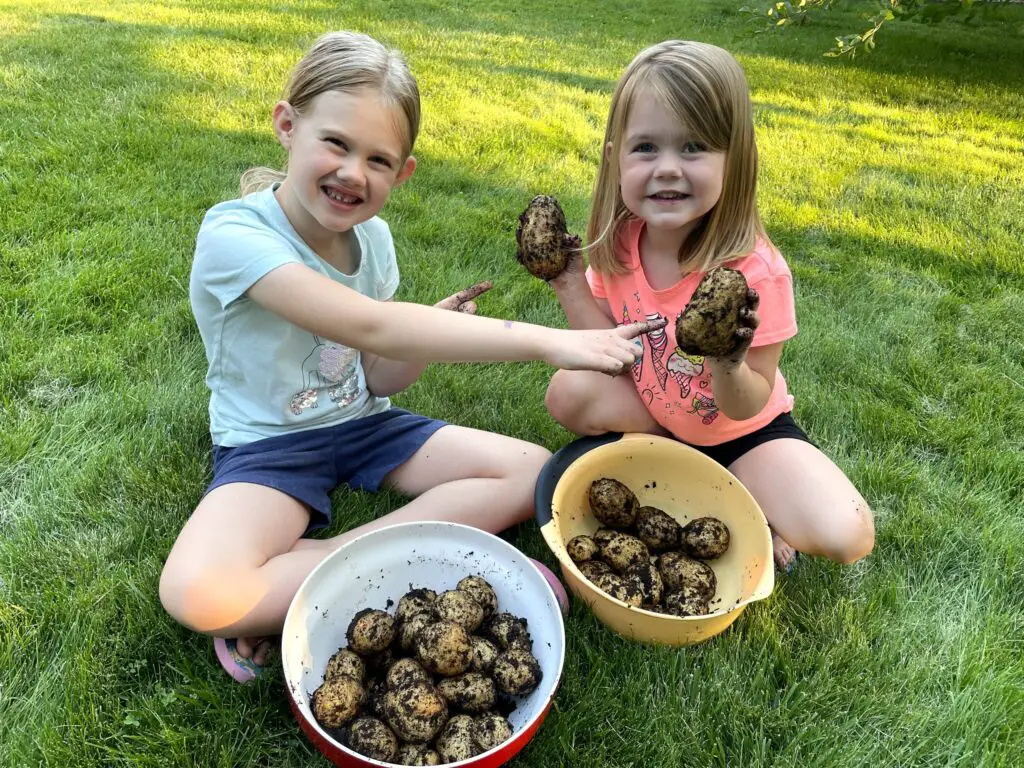 Sisters sitting in the grass holding potatoes with a bowl of potatoes in front of them.